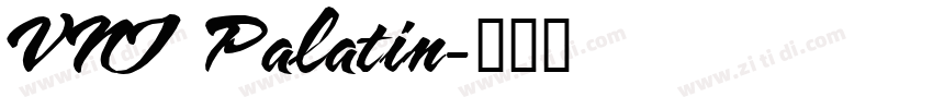 VNI Palatin字体转换